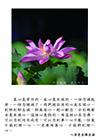 真心是常住的，妄心是生滅的，一個念頭起來，一個念頭滅了。