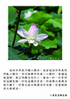 這個世界是污穢心變的