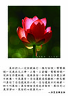 真信的人一定依教奉行