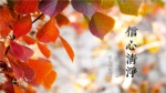 信心清淨