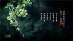 群書治要三六○ 桌布