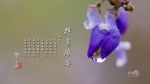 群書治要三六○ 桌布
