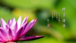 群書治要三六○ 桌布