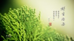 群書治要三六○ 桌布